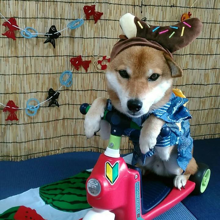 Bc9b3a51 861b 4add 9bd8 6a1b45204e9b 1565925840081