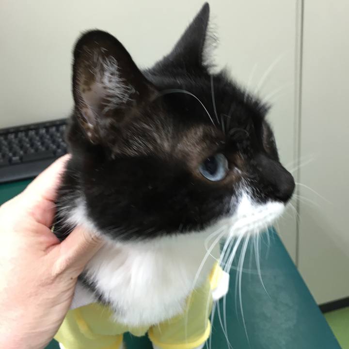 Bc9b4523 ad05 432a a1d7 da50eb82a706 1596085366121