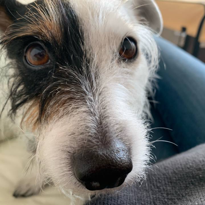 Bc9b4620 44cc 40a6 a5e7 06c6defd103b 1645861600582