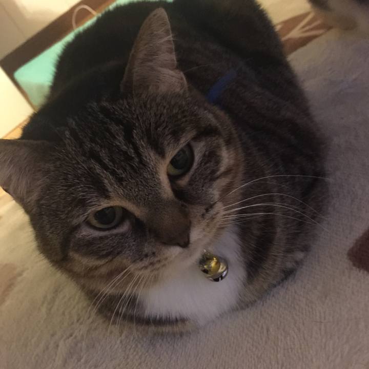 Bc9bba7d ff74 4ba9 ab2a 85ca1a0b8da2 1554986535559