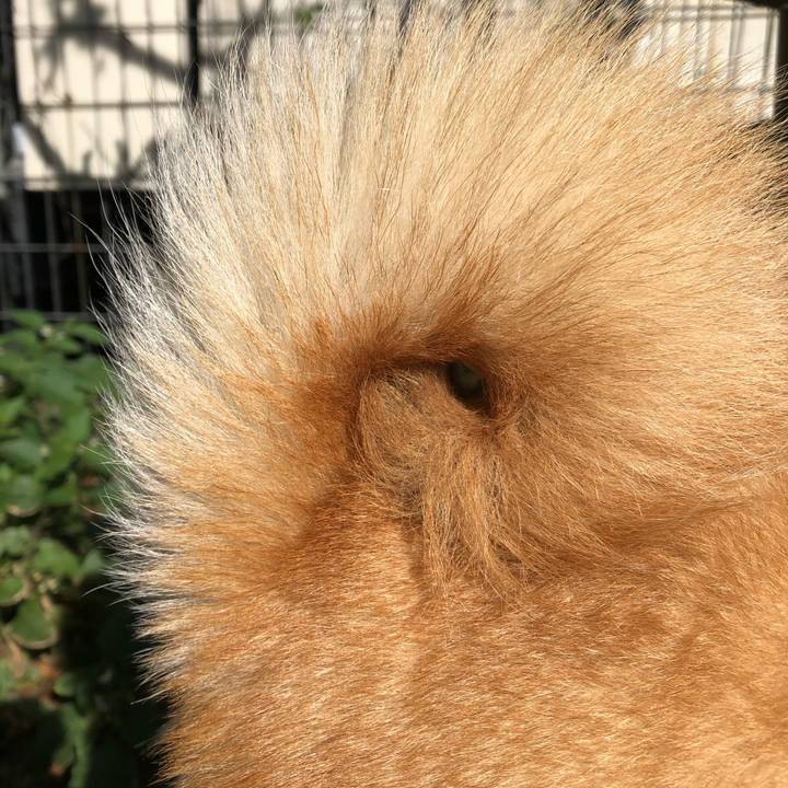 Bc9bbabc 6106 4f48 8c1e aaf62e47548a 1606365419107