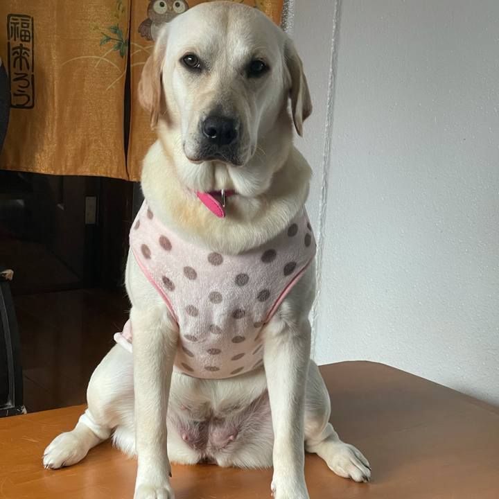 Bc9bd20a f66e 4ad0 ab77 eda3b67c946f 1634858467582