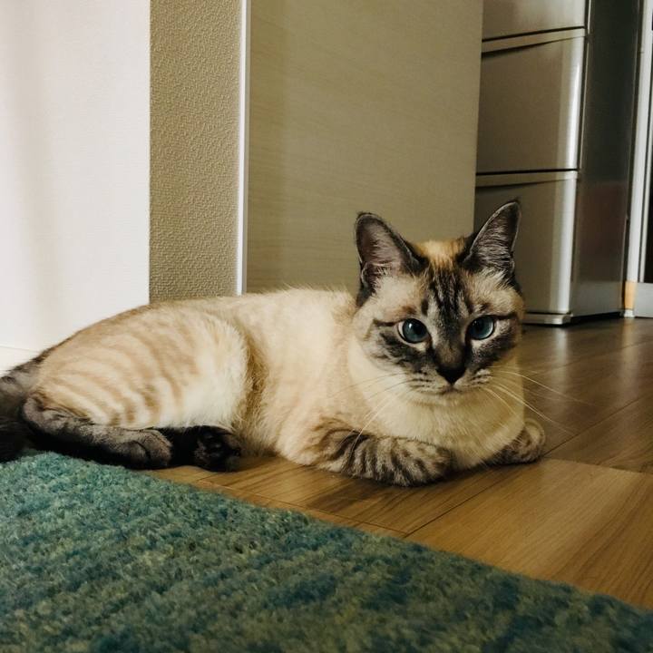 Bc9bedab d8c8 48ad 8ebb ce964fd2eb0f 1593069064117