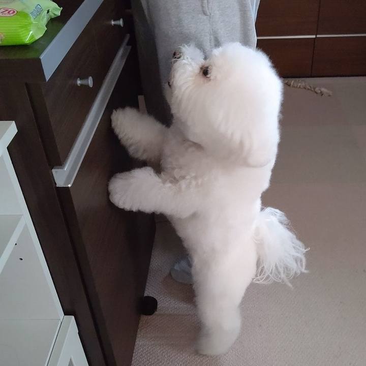 Bc9c1306 22b2 40e3 9426 33260cb386bc 1621124899020