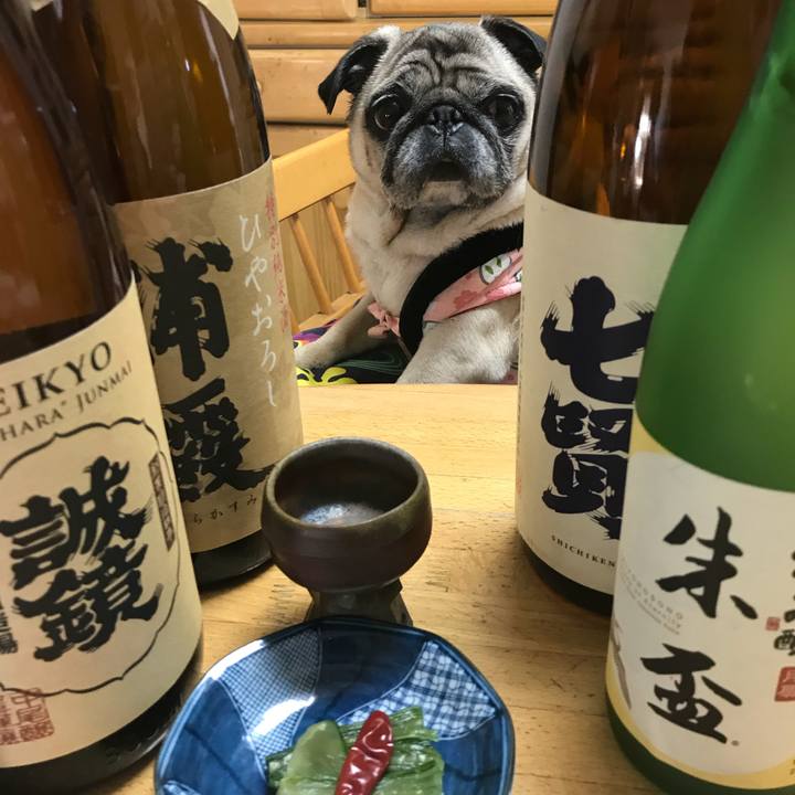 Bc9c28d0 91da 4842 bde4 1f05961b10c9 1512094449565