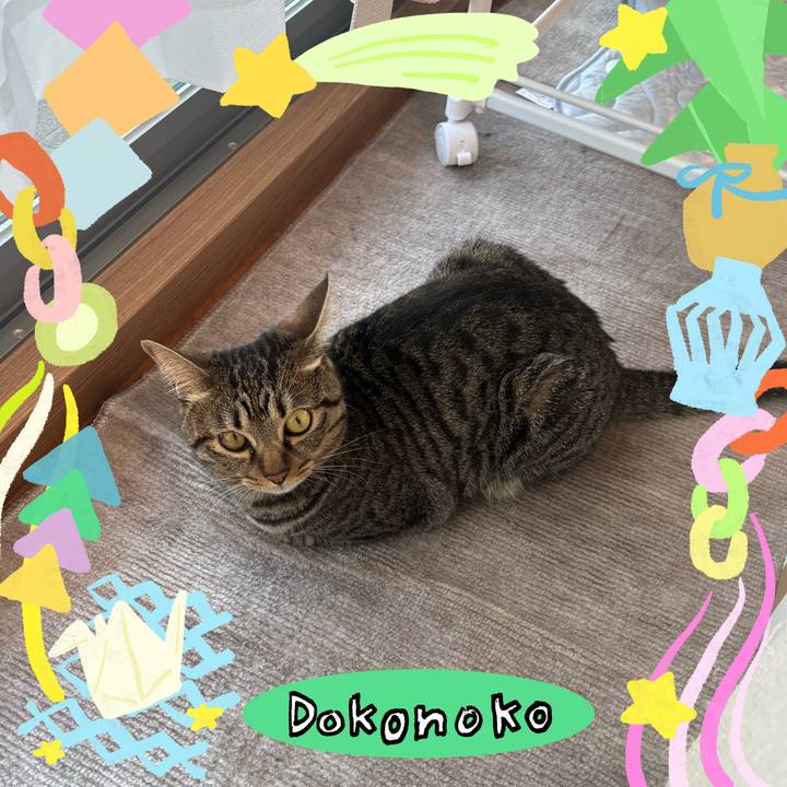 Bc9c70b9 6e8f 4515 8b02 11b666edd242 1755133655122