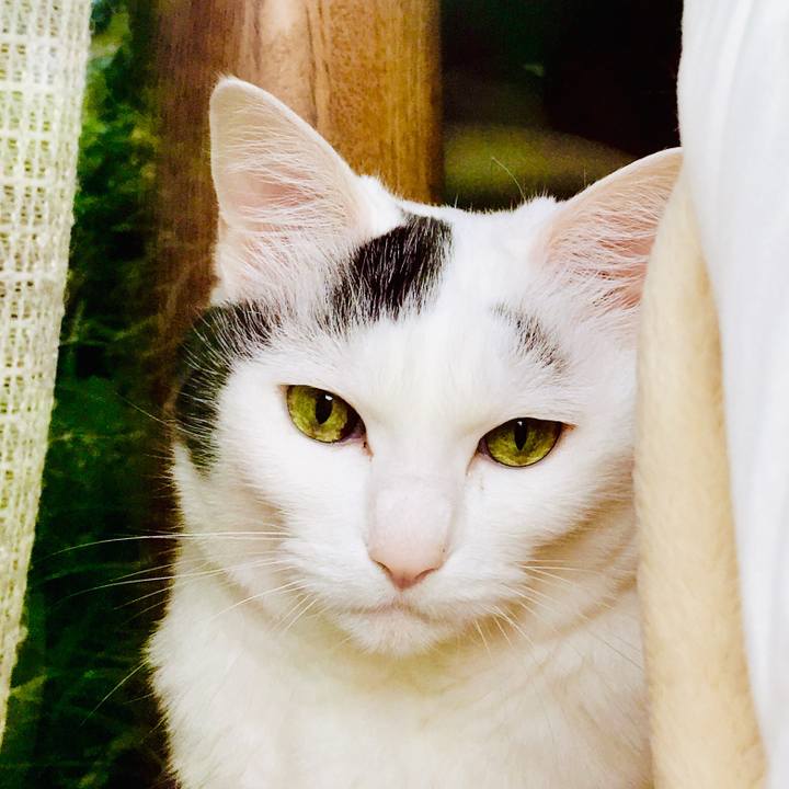 Bc9ca7f9 e3d5 4265 a694 bb3e571ec7f2 1561258685839