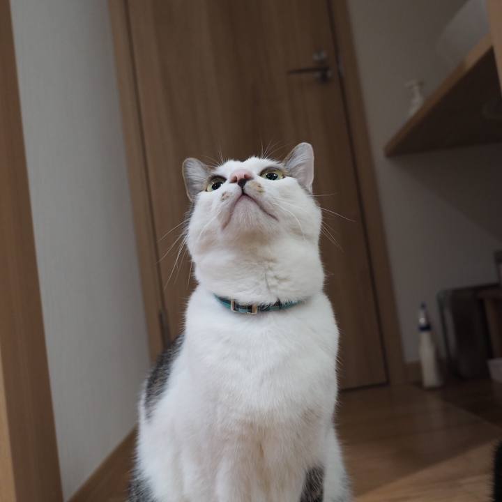 Bc9d018a 6613 427e a758 bb3aed7b20a6 1544484140678