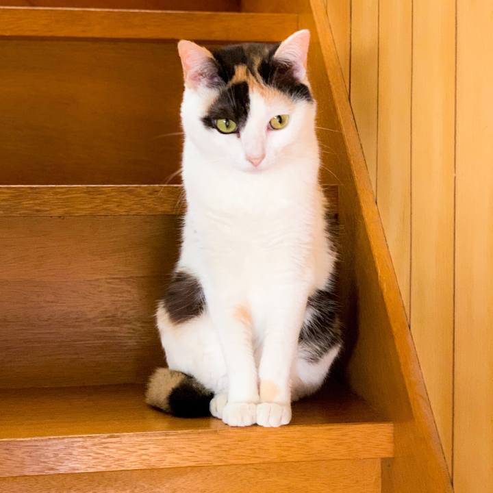 Bc9d2f02 414d 498e 9eb1 a785ec868f7a 1564103345793