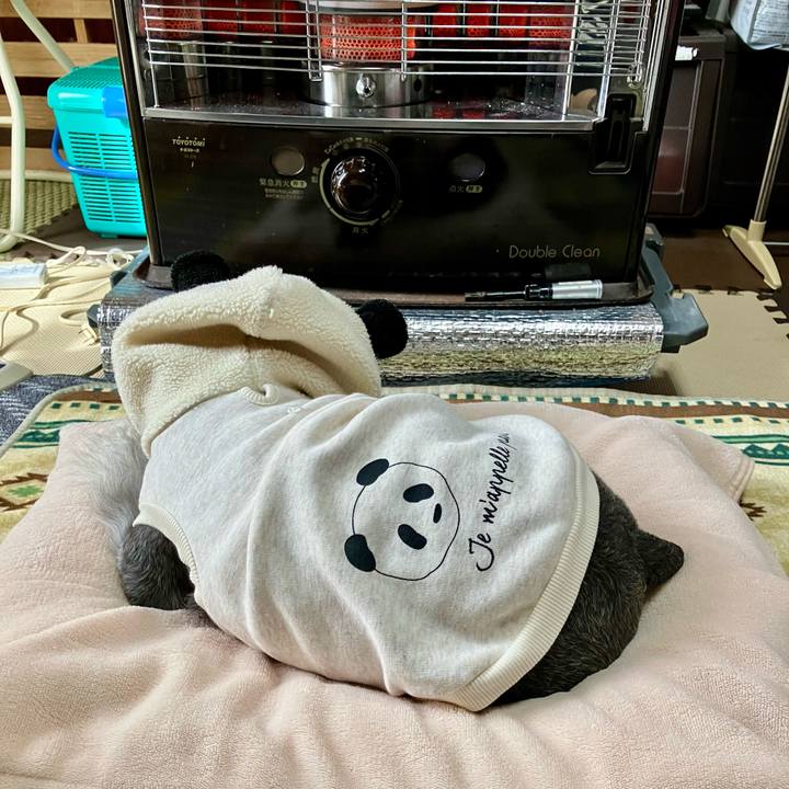 Bc9dbcb6 eab7 4aec b354 c406449c7fa8 1736778055140