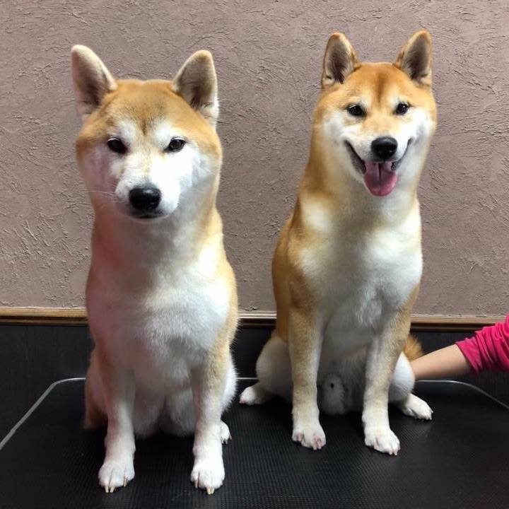 Bc9df988 1c68 485c 8683 d8928076160e 1577799666201