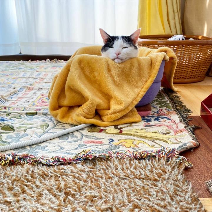 Bc9dfd5d d21e 4b07 97c0 7ec8690a3b7c 1607399010226