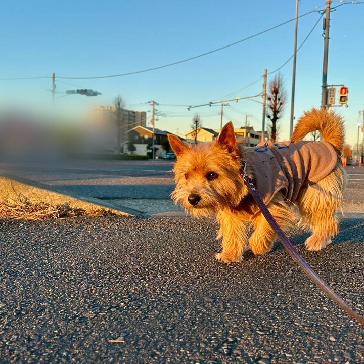 Bc9e004f 7cb2 4c30 873d 260098663677 1737194239309