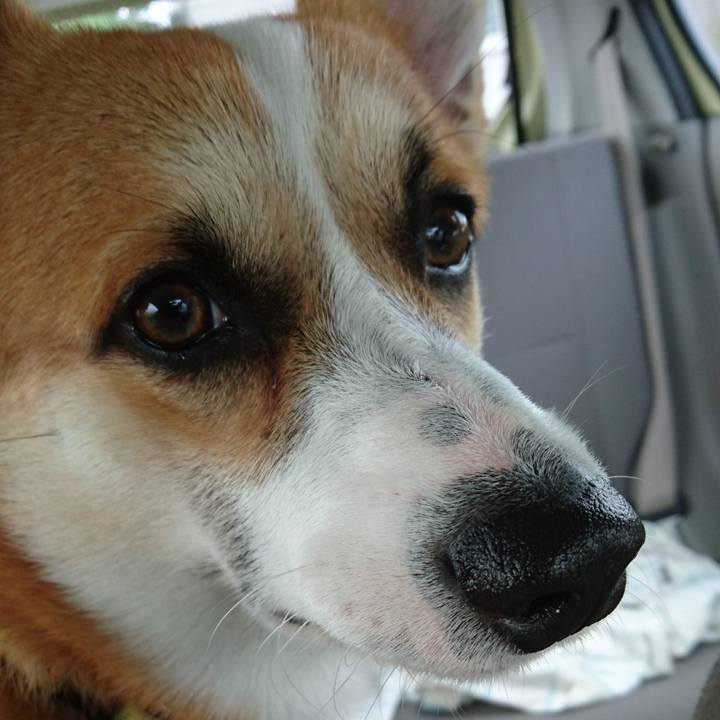 Bc9e0549 647c 46d3 b47e c6791aaa2727 1571880222378