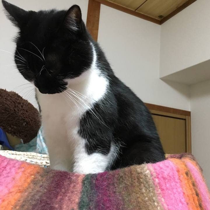 Bc9e1b48 53db 4d82 83bc bb183c57041e 1508163833126