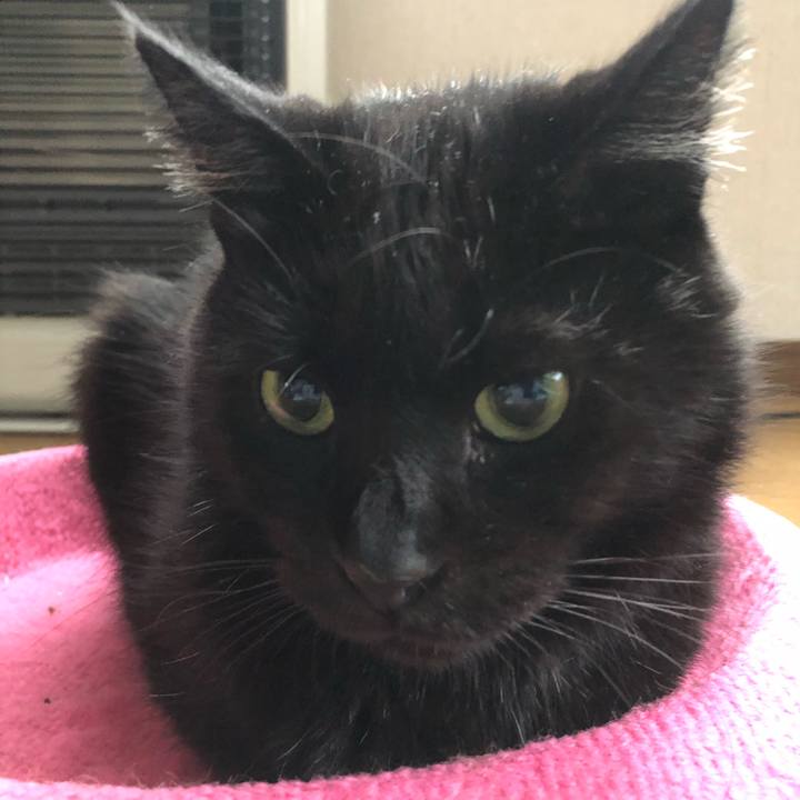 Bc9e24d8 b40f 4668 aa6f 24a39472b71d 1570244440382