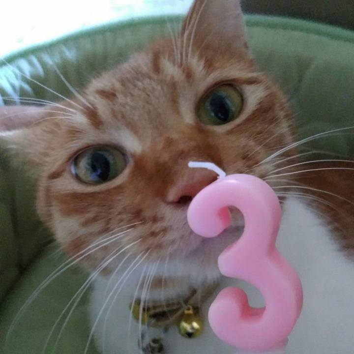 Bc9e40b2 530c 4541 aab5 eb86fd05113f 1568096139870