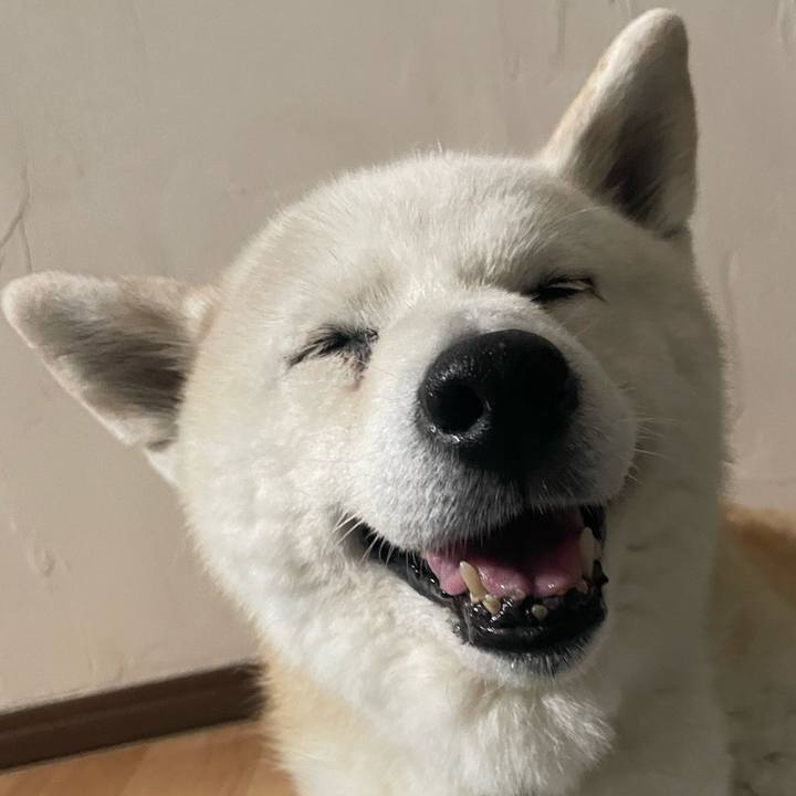 Bc9e564e 46ae 431e 8ed9 312e14c0bb42 1719842945501