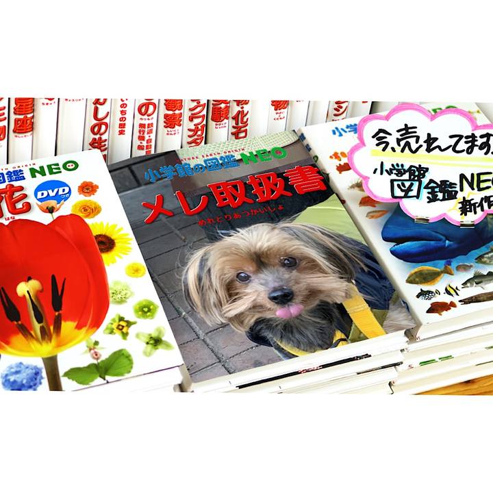 Bc9e5cc6 7306 40a0 aa46 17b0bf2b038c 1578001939680