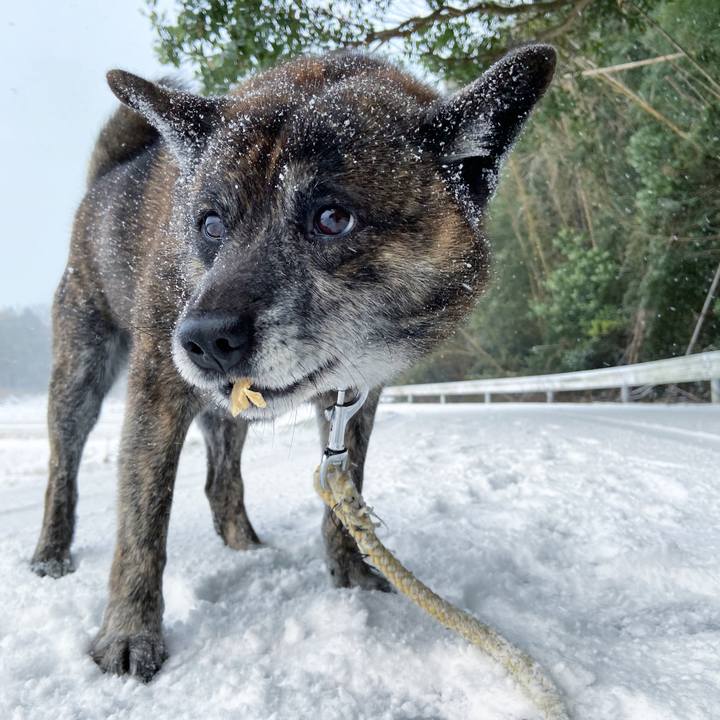 Bc9e641e 13ac 4d55 930f ebb6a3720c37 1609372034679