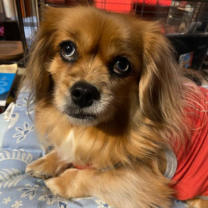 Bc9e978d 9fed 43cc 924e 4ad36839ae85 1612133193352