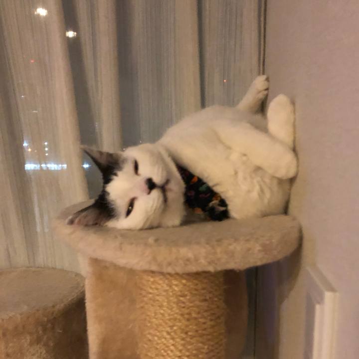 Bc9eb75b 5fbe 4567 b488 08816ee5da69 1551191572564