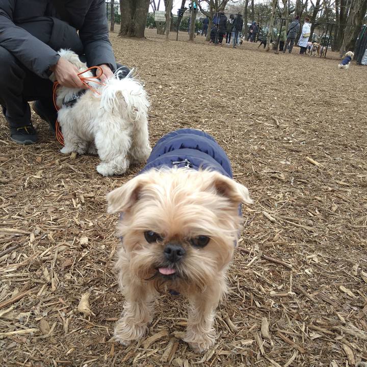 Bc9f32ad d9e2 433c 9a82 c99cb00b7639 1644132456299