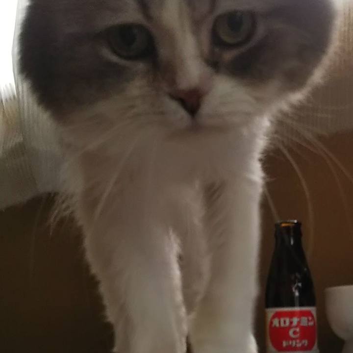 Bc9f54f8 b0d5 4c57 9041 2016ab6c53ae 1624752737555