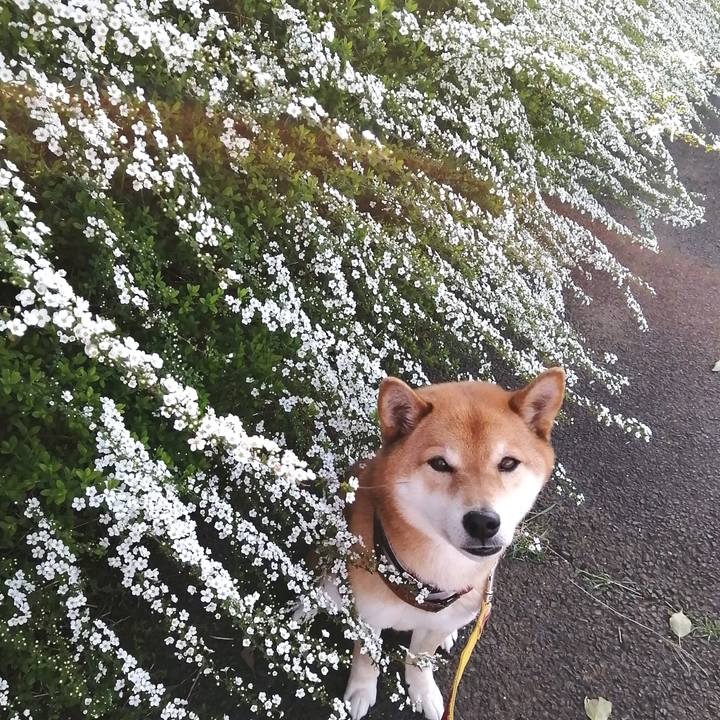 Bc9f62b9 8b73 4e92 8fc9 6684113f3ee9 1584609639793