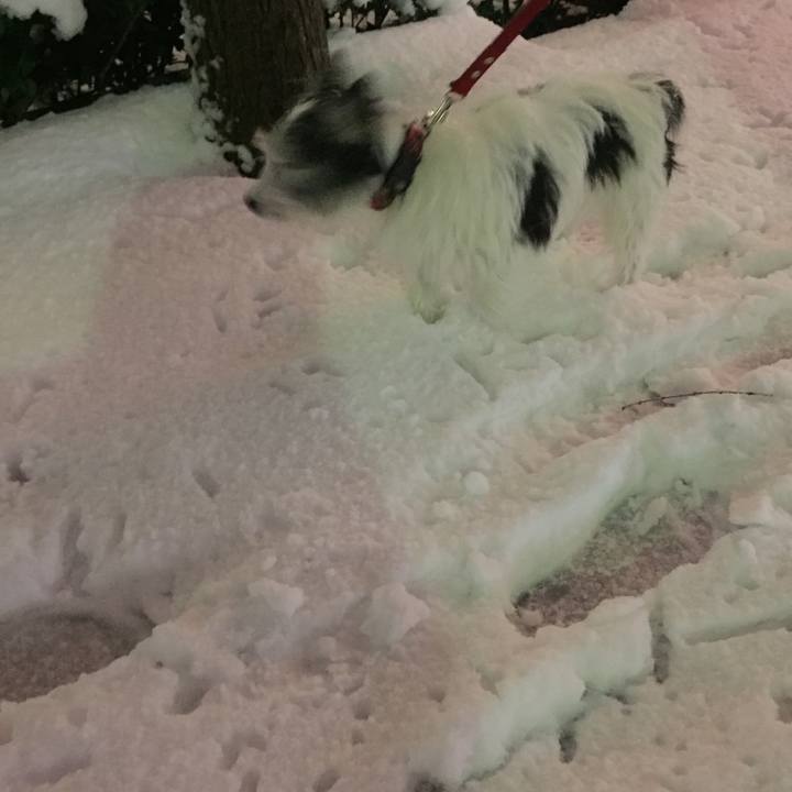 Bc9f77d6 2bf7 463e 8448 348f5985305e 1516628653915