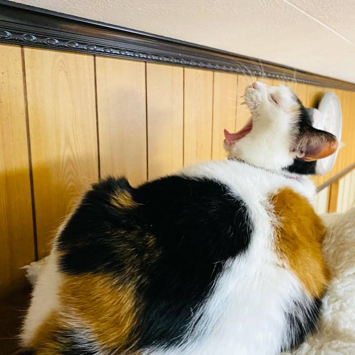 Bc9fb518 8e58 4512 8448 e10ccfb4cfd9 1682600635374