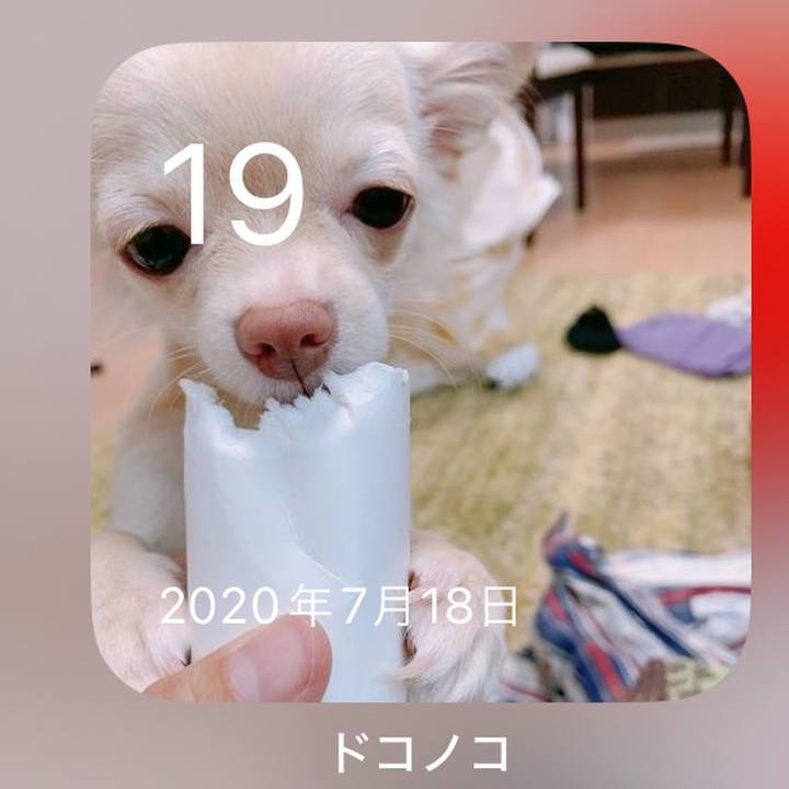 Bc9fe40d c9fb 4255 93bf 9c098e622c7a 1721347114770