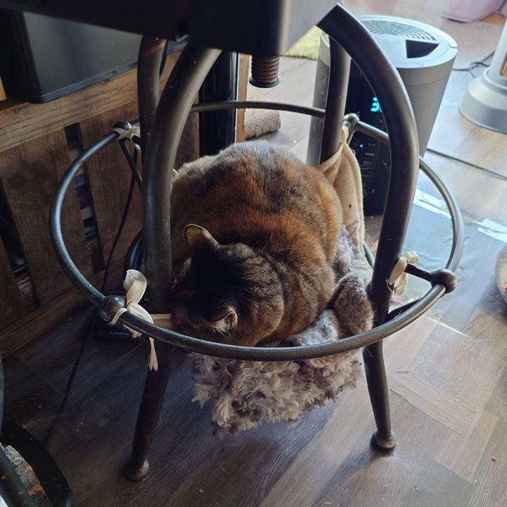 Bca01e4f d694 406a 9403 e74cfe3dea25 1772320163744