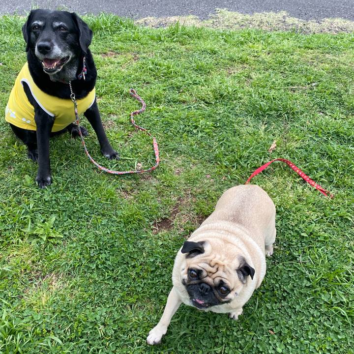 Bca02e79 9582 4328 bfd6 dc199213273e 1650253480733