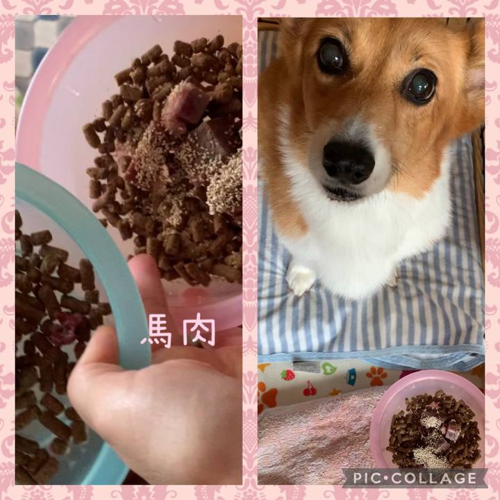 Bca04d11 dbee 463f 85ab b0e74c3ac82a 1633578773124