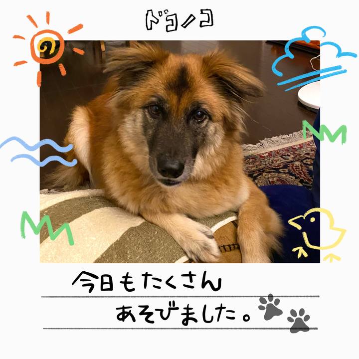 Bca06114 c859 4d74 a893 31665e4f8221 1755084050397