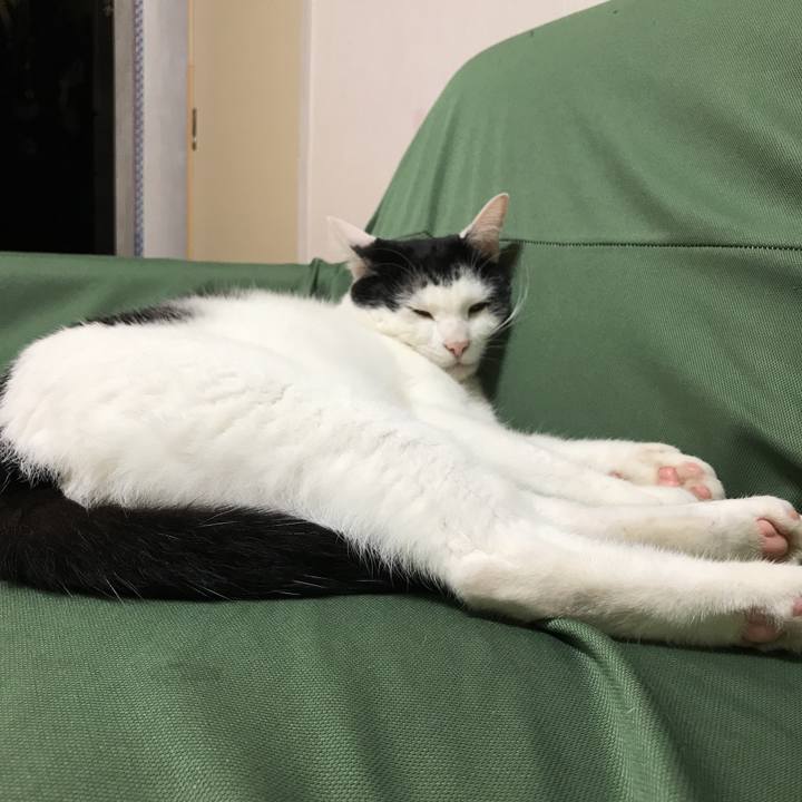 Bca0c13b 1945 47ce 8543 3022ce69ad42 1536920360904