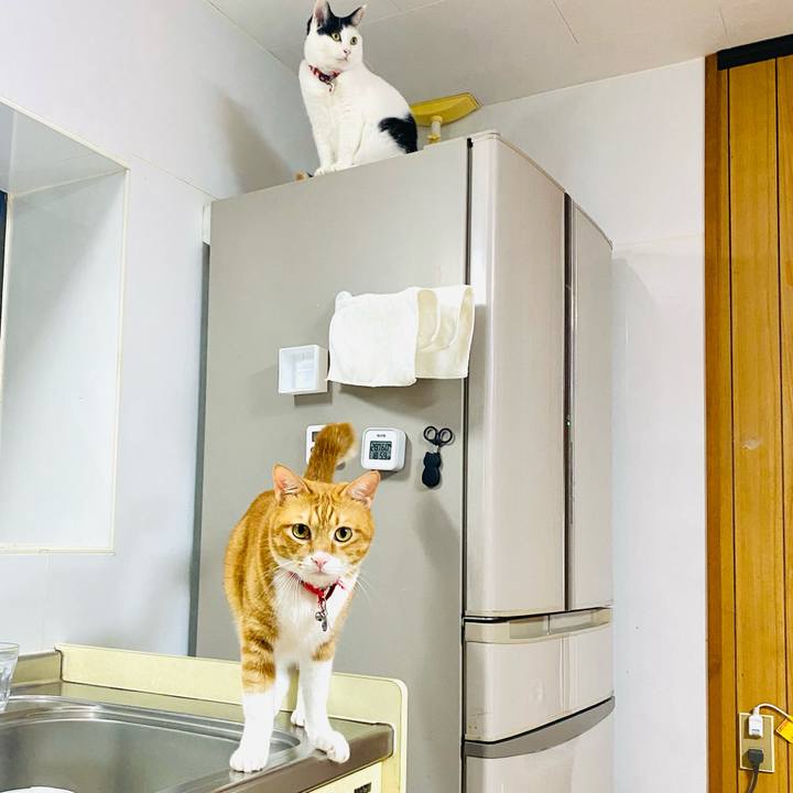 Bca0dbb4 779b 4df1 9ef4 eb0d41b654a3 1727518584791