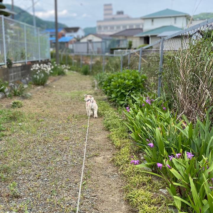 Bca16558 2dd0 4497 b5ab 25012109962e 1588666462668