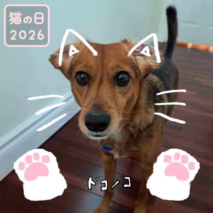 Bca179e8 be8d 41f3 8610 c88eb19cf3b6 1771725076194