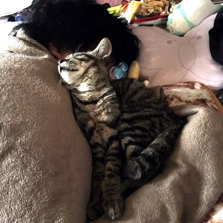 Bca18103 74e4 4642 95a2 50d2ba346278 1537447351687