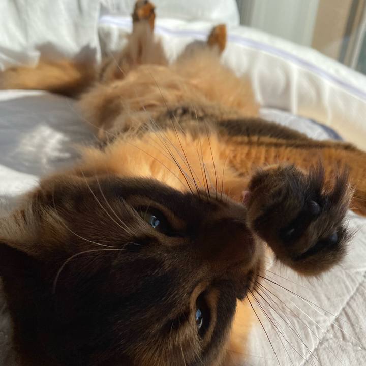 Bca196cb 438b 4111 8ab6 ef292601ed4f 1677309809466