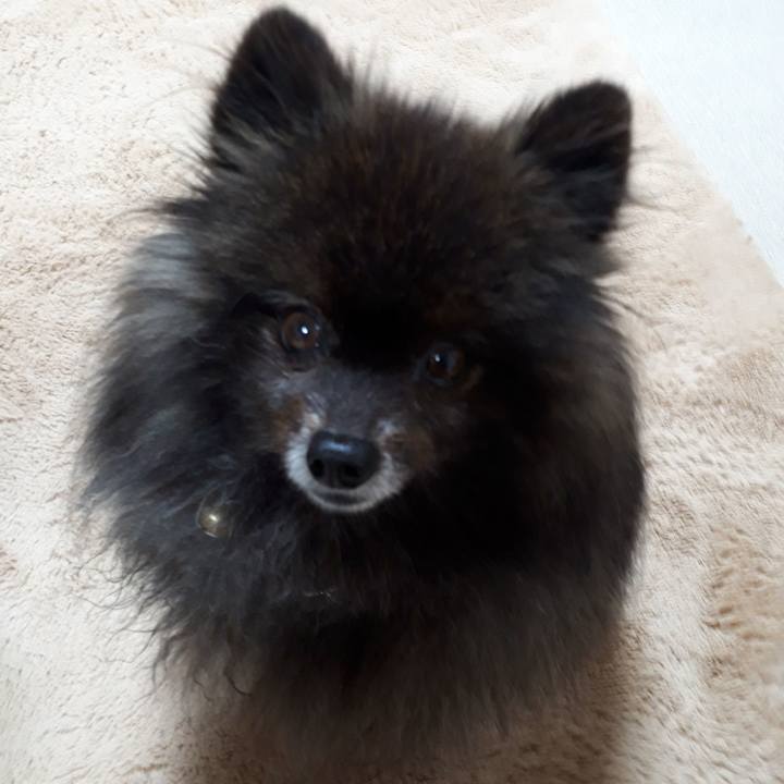 Bca1a5a0 c0bb 4c17 9e5e 71a3960b702d 1517601534204