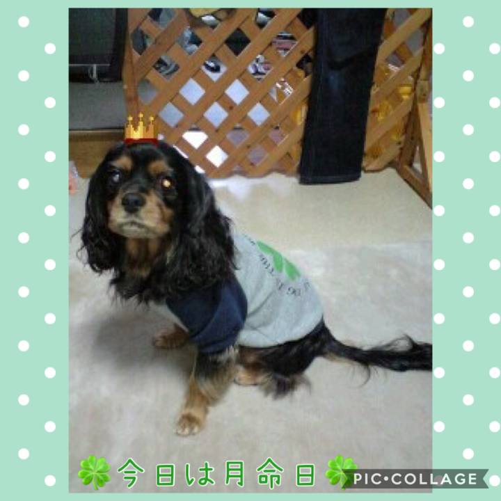 Bca1b785 b375 4c0d bf56 e0cdf19ff9a8 1584853503385