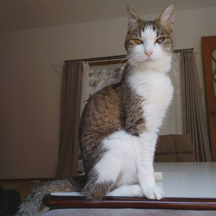 Bca1c2c6 d030 4208 b427 77217b725a1b 1554638786406