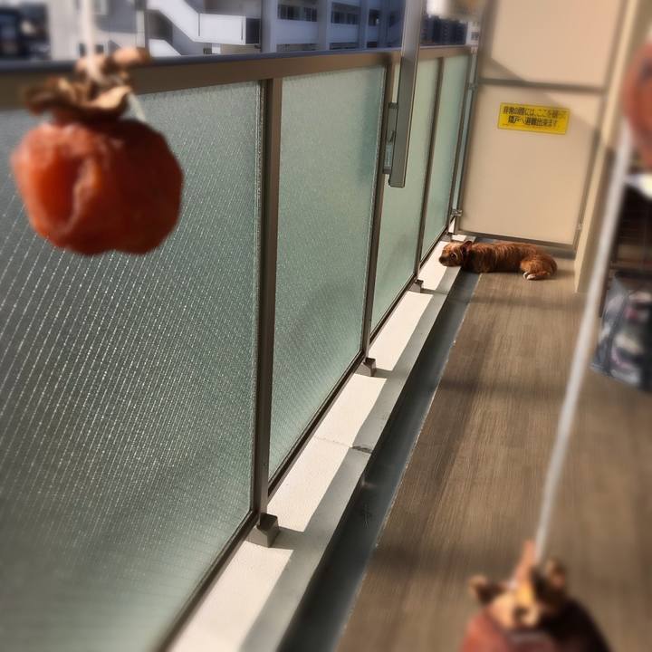 Bca1efa8 5d7b 4554 a764 710b30d18a30 1542328923215