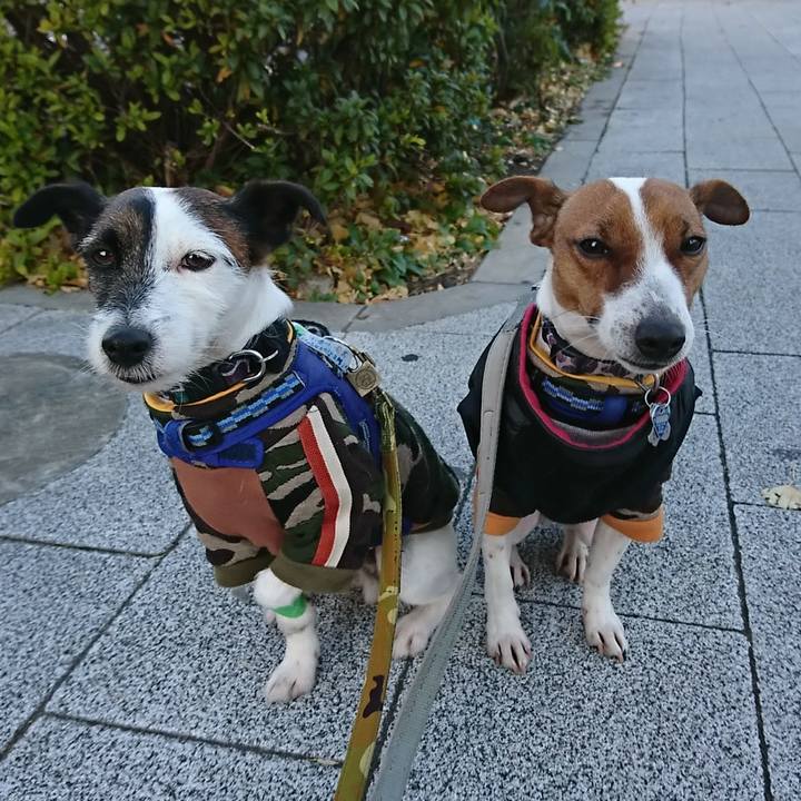 Bca22717 ae8c 4cf5 b2ab c17fa406c84a 1546645179786