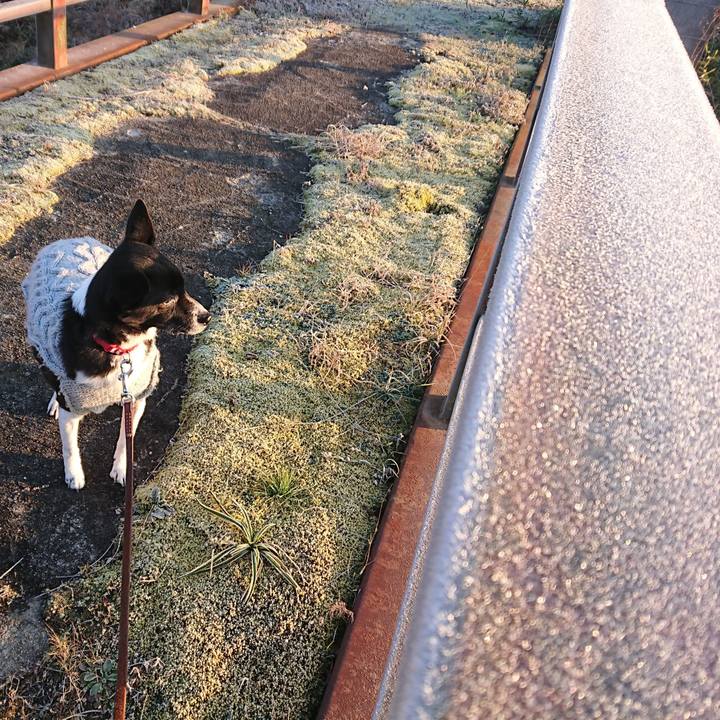 Bca23bd6 c9d2 4781 83cd 5898ea7ce2fe 1608733952008