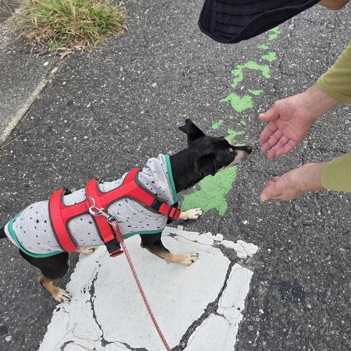 Bca25989 6a87 491a b507 3ef9e1274813 1759531903658