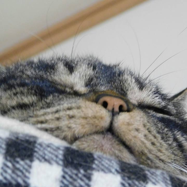 Bca25e76 1218 49ed ae42 192299b2fdbc 1618568848586